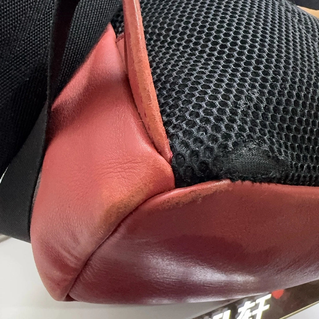 FENDI Limited Edition Rivet Backpack Handbag For Women