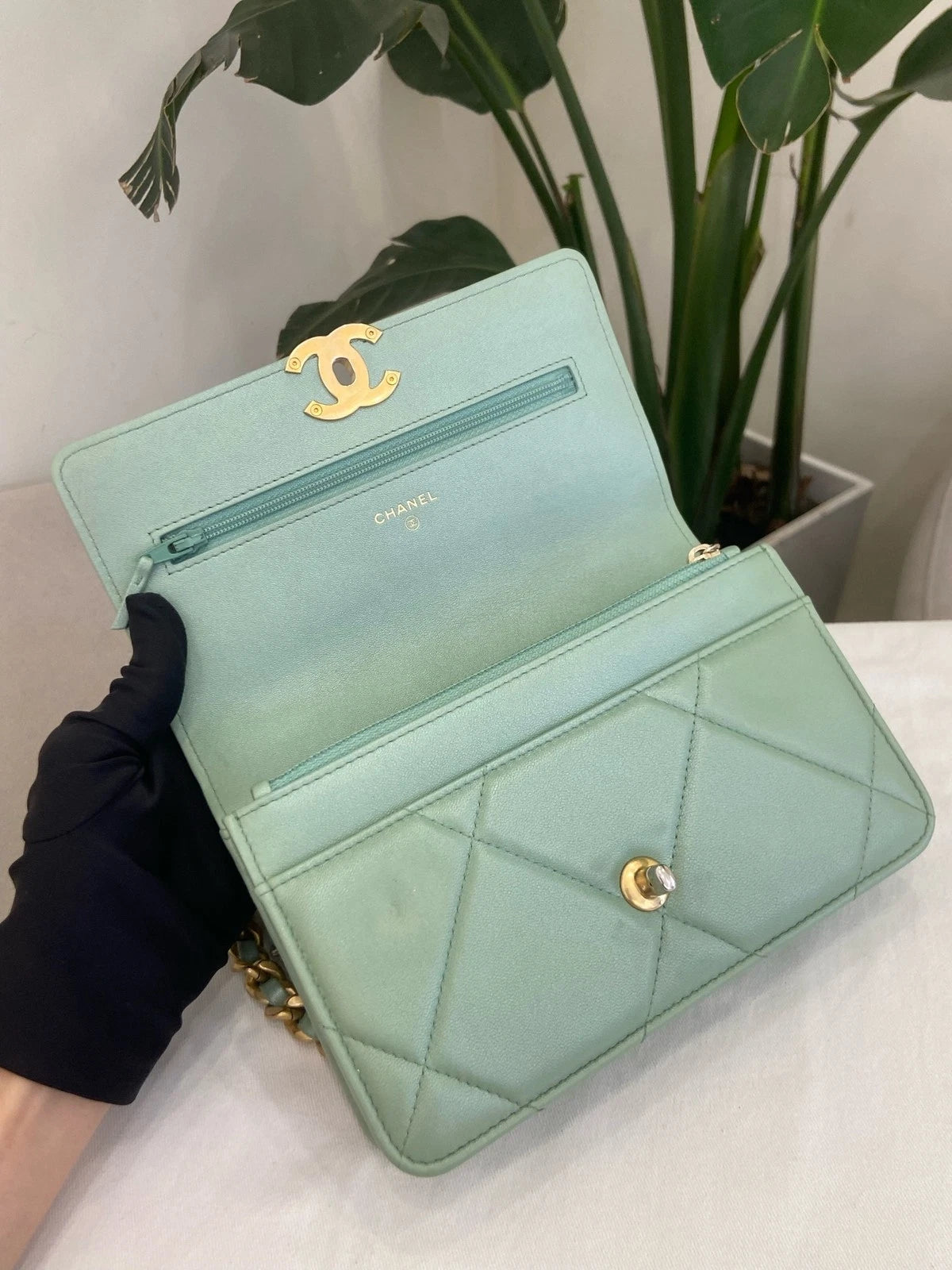 CHANEL Green Mermaid 19Bag WOC Crossbody Bag For Women