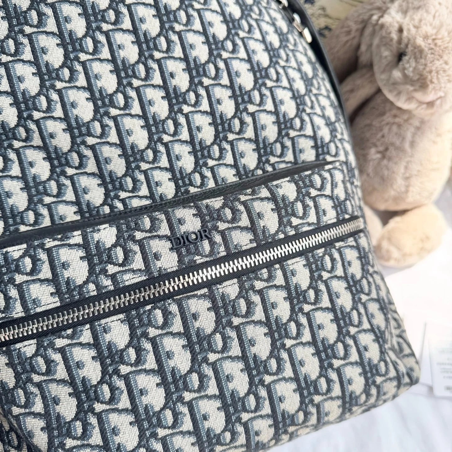 New Dior Rider Canvas Backpack For Women