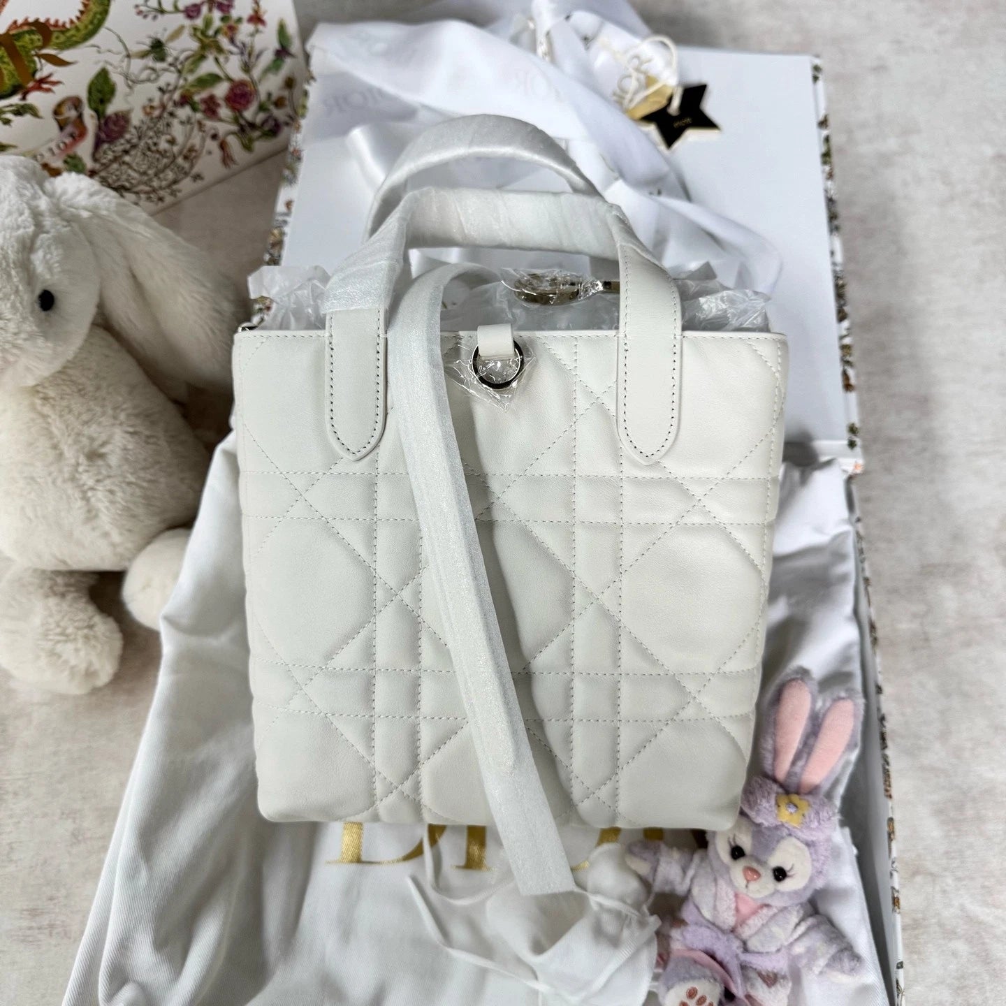 New Dior Toujours Vertical Small Tote Bag Gold Hardware For Women