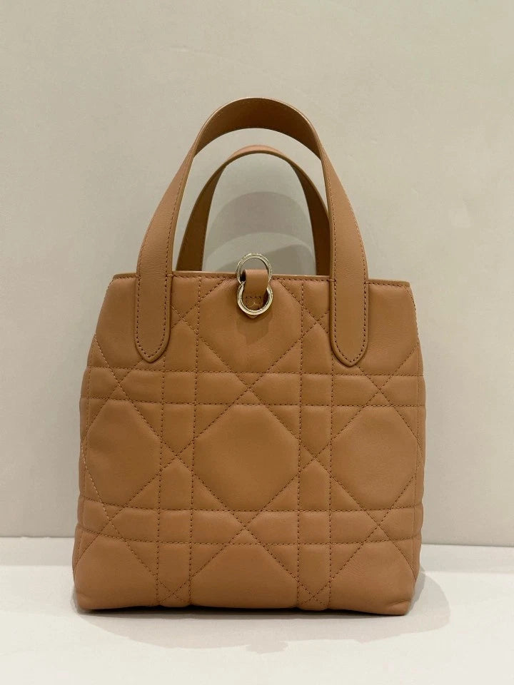Dior Toujours Small Vertical Tote Top Handle Bag For Women