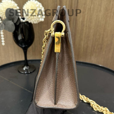 Gucci Ophidia Brown Gold Chain Shoulder Crossbody Bag Classic Women