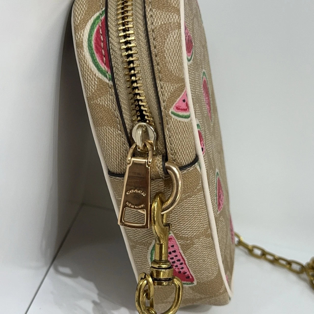 Coach Beige Canvas Monogram Watermelon Print Crossbody Camera Bag Women