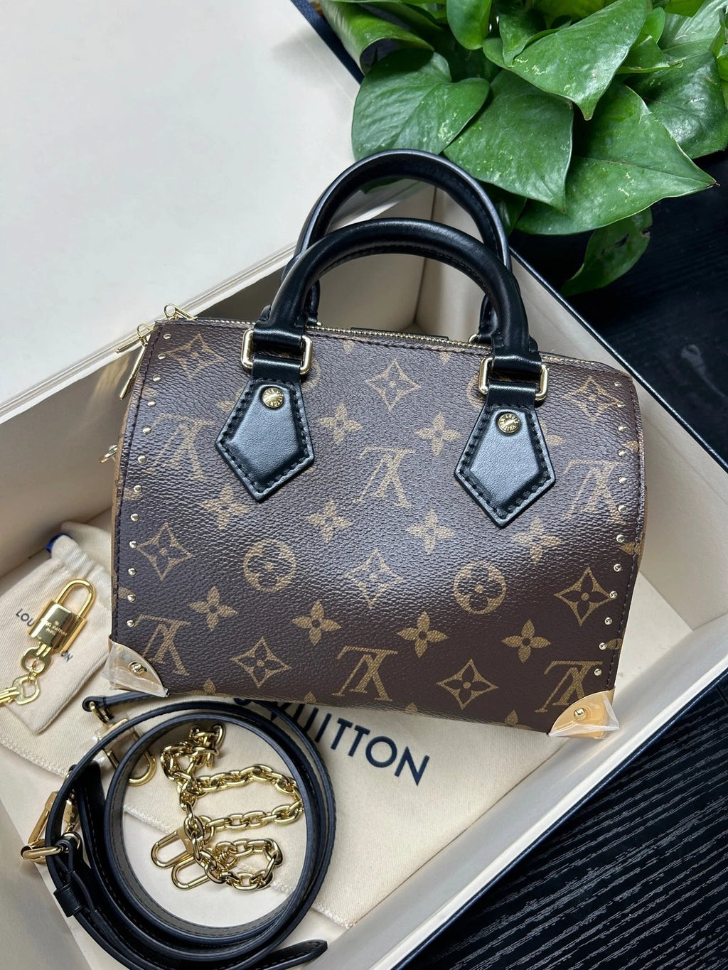 Louis Vuitton Speedy Trunk 20 Brown Canvas Handbag Crossbody Bag Excellent