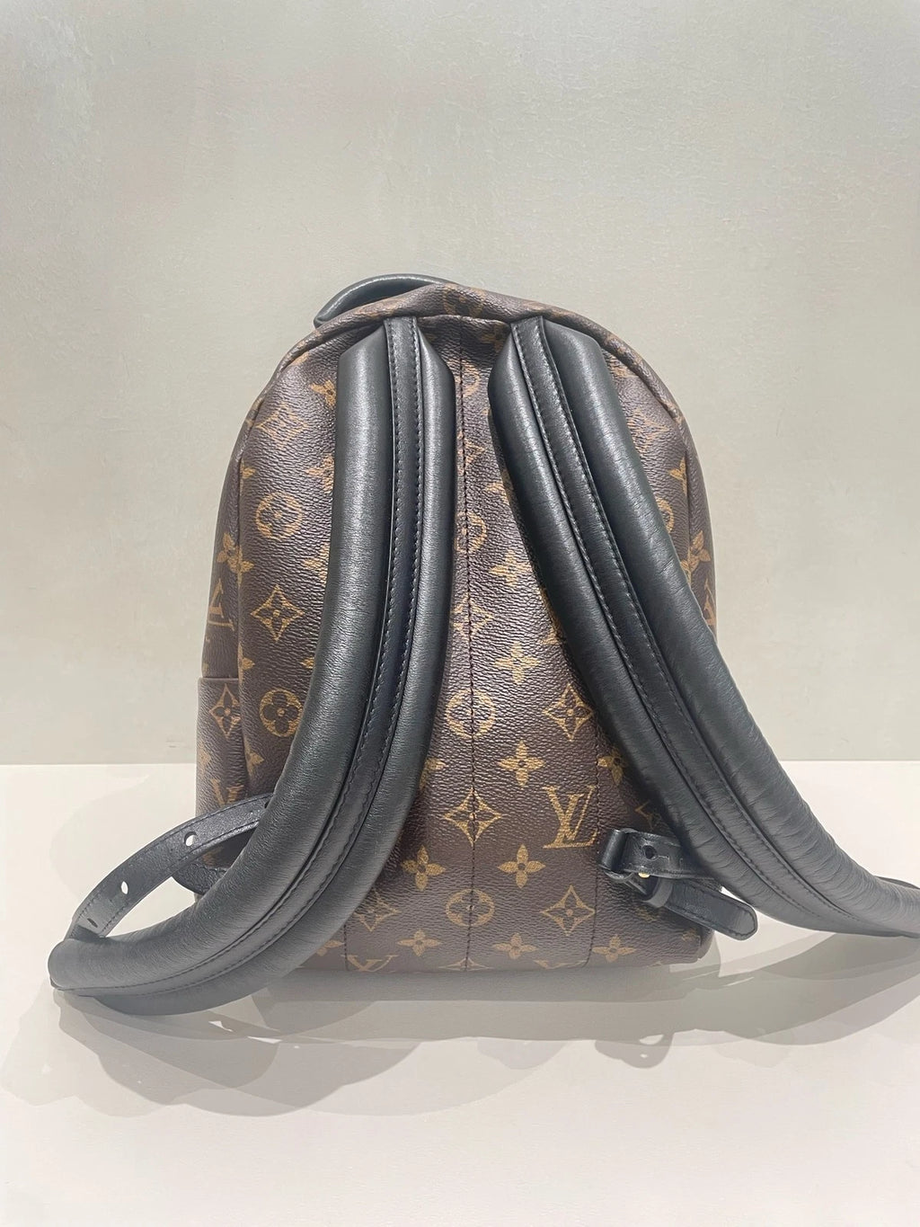 Louis Vuitton Palm Springs Monogram Canvas Small Backpack