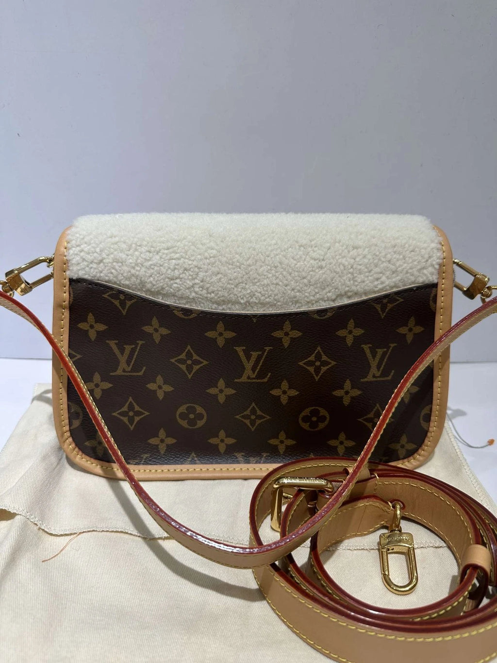 Louis Vuitton Shearling Diane Baguette Shoulder Bag For Women