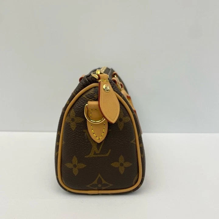 Louis Vuitton Canvas Speedy Nano Handbag For Women