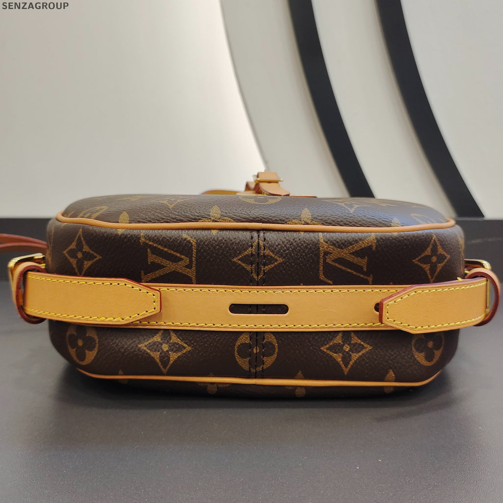 Louis Vuitton Monogram Pochette Accessoires Brown Gold Clasp Women's Classic