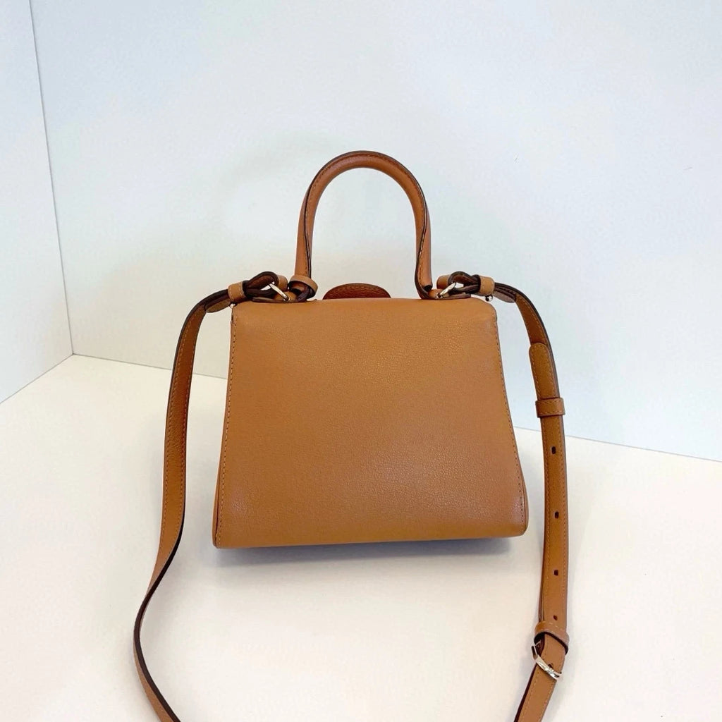 Delvaux Brillant Calfskin PM Top Handle Crossbody Brown Gold Women Classic