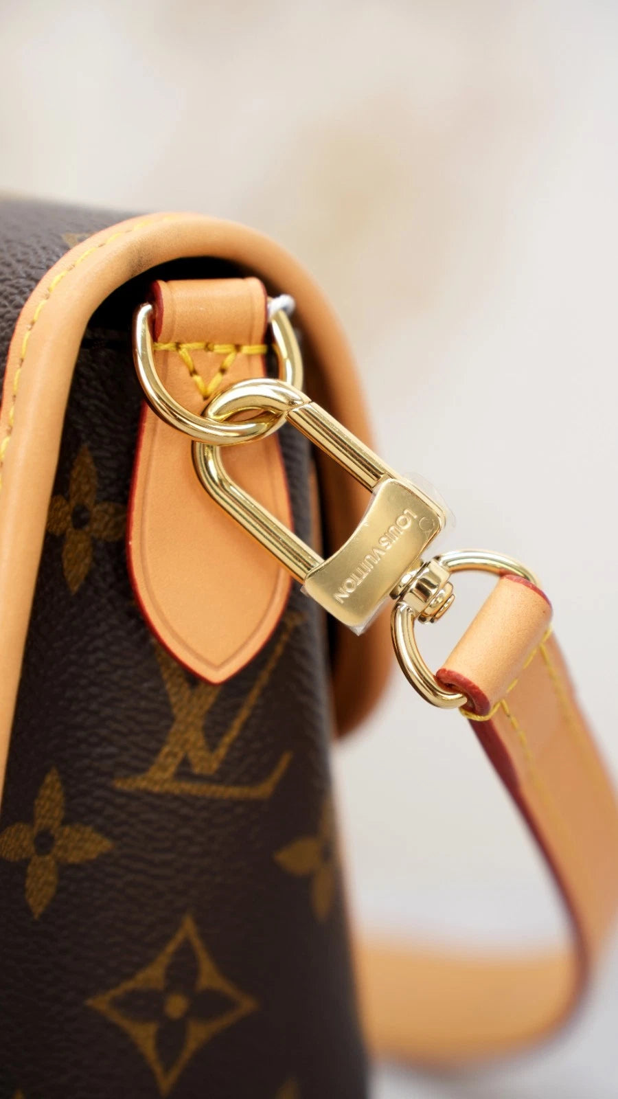 Louis Vuitton Diane Monogram Shoulder Bag Crossbody Excellent