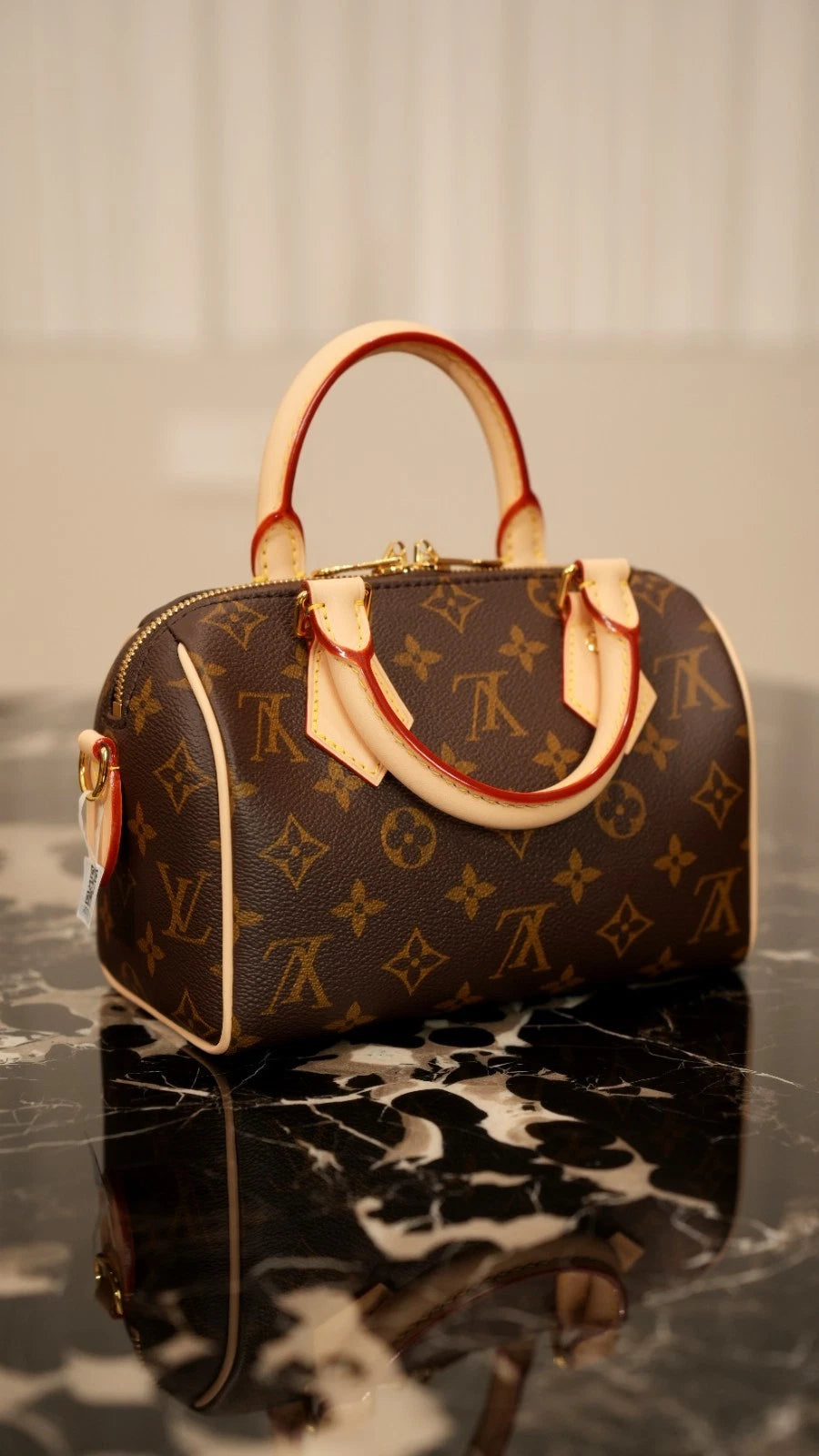 Louis Vuitton Speedy20 Monogram Canvas Excellent