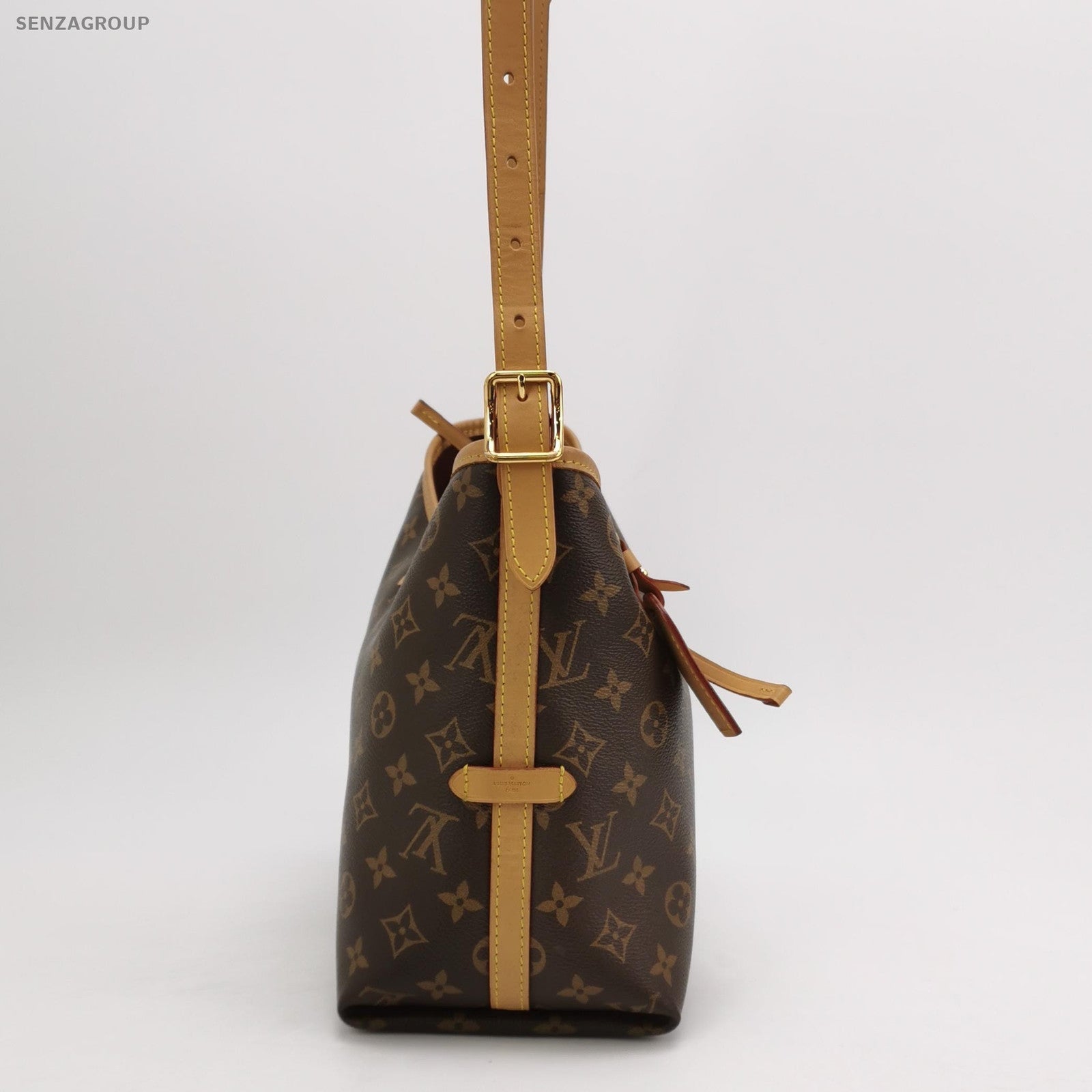 Louis Vuitton CarryAll PM Monogram Brown Gold Women Shoulder Crossbody Bag