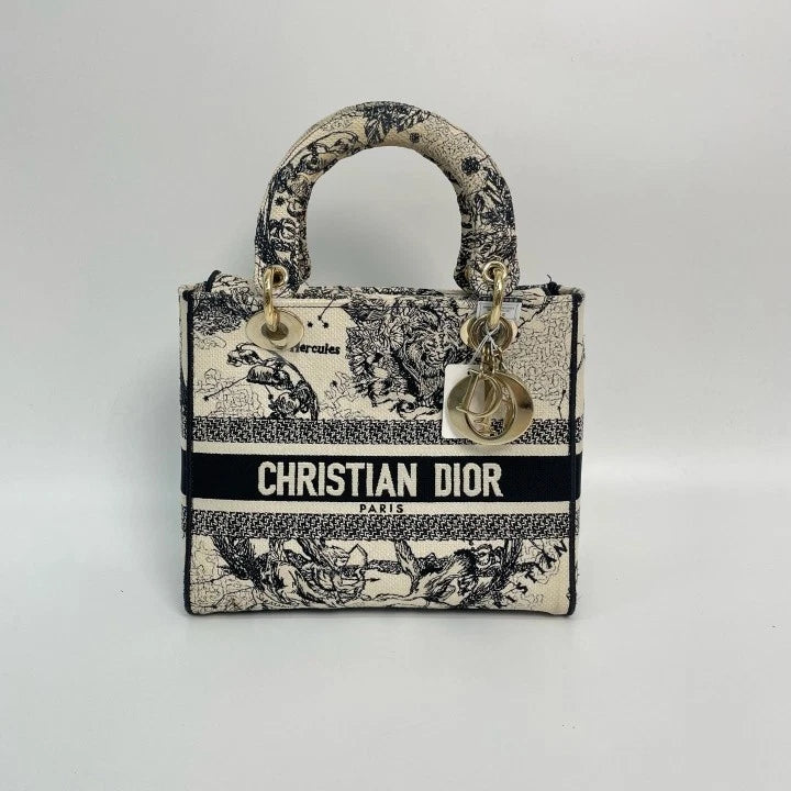 Dior Embroidered Canvas Lady Dior Top Handle Bag For Women