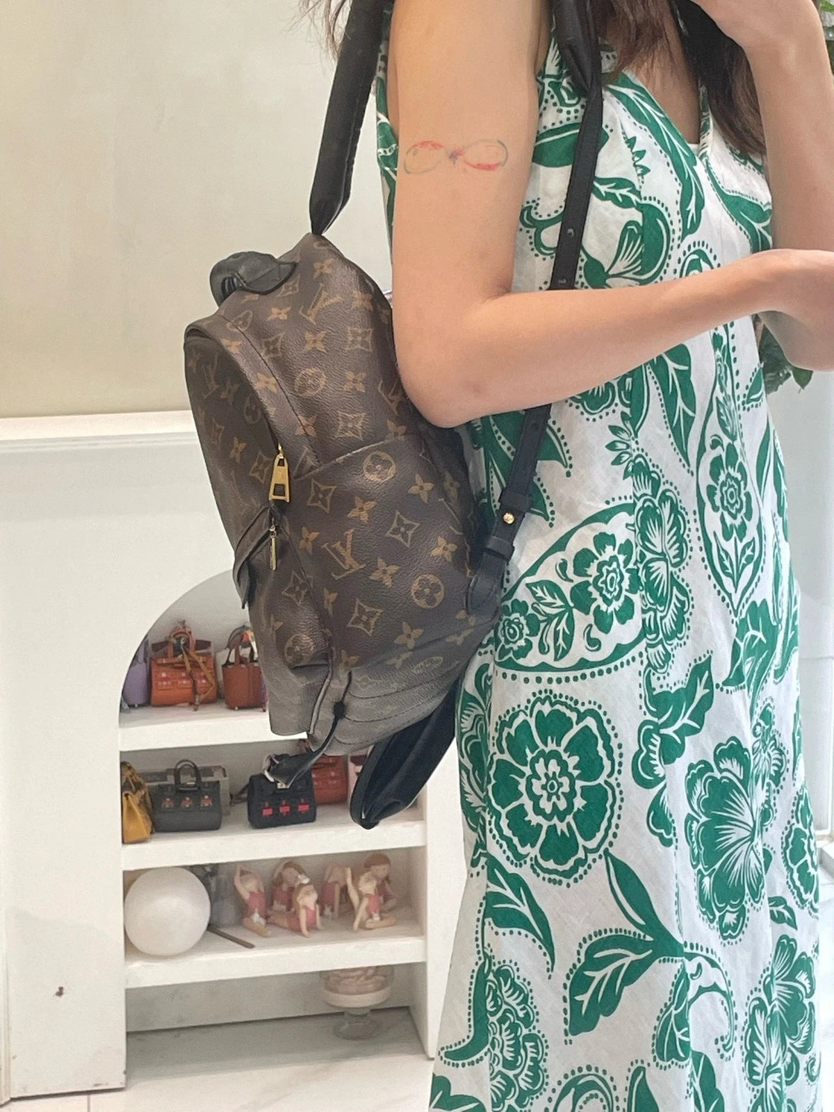 Louis Vuitton Palm Springs Monogram Canvas Small Backpack