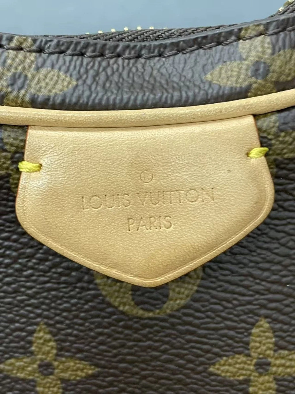 Louis Vuitton Monogram Canvas Pea Crossbody Bag For Women