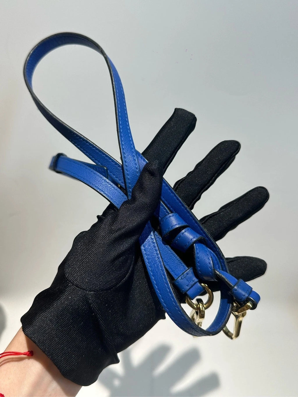Loewe Blue Cute Elephant Shoulder Bag For Women