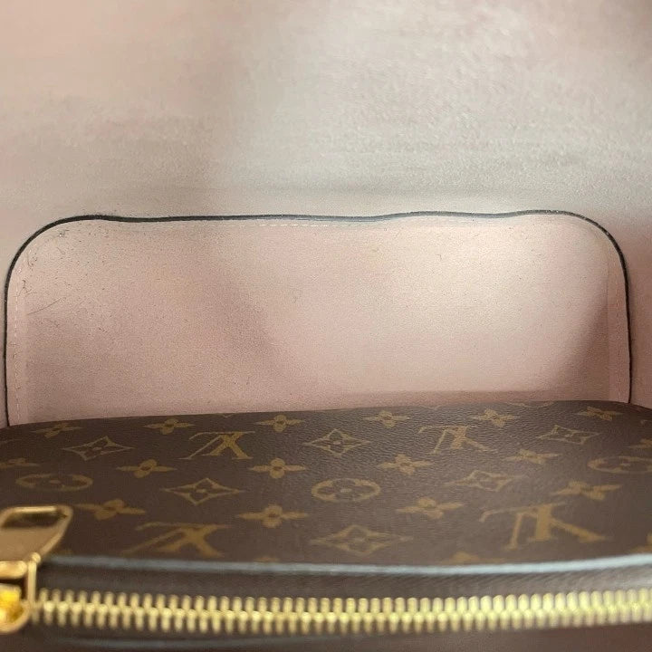 Louis Vuitton Neonoe Canvas Bucket Bag For Women