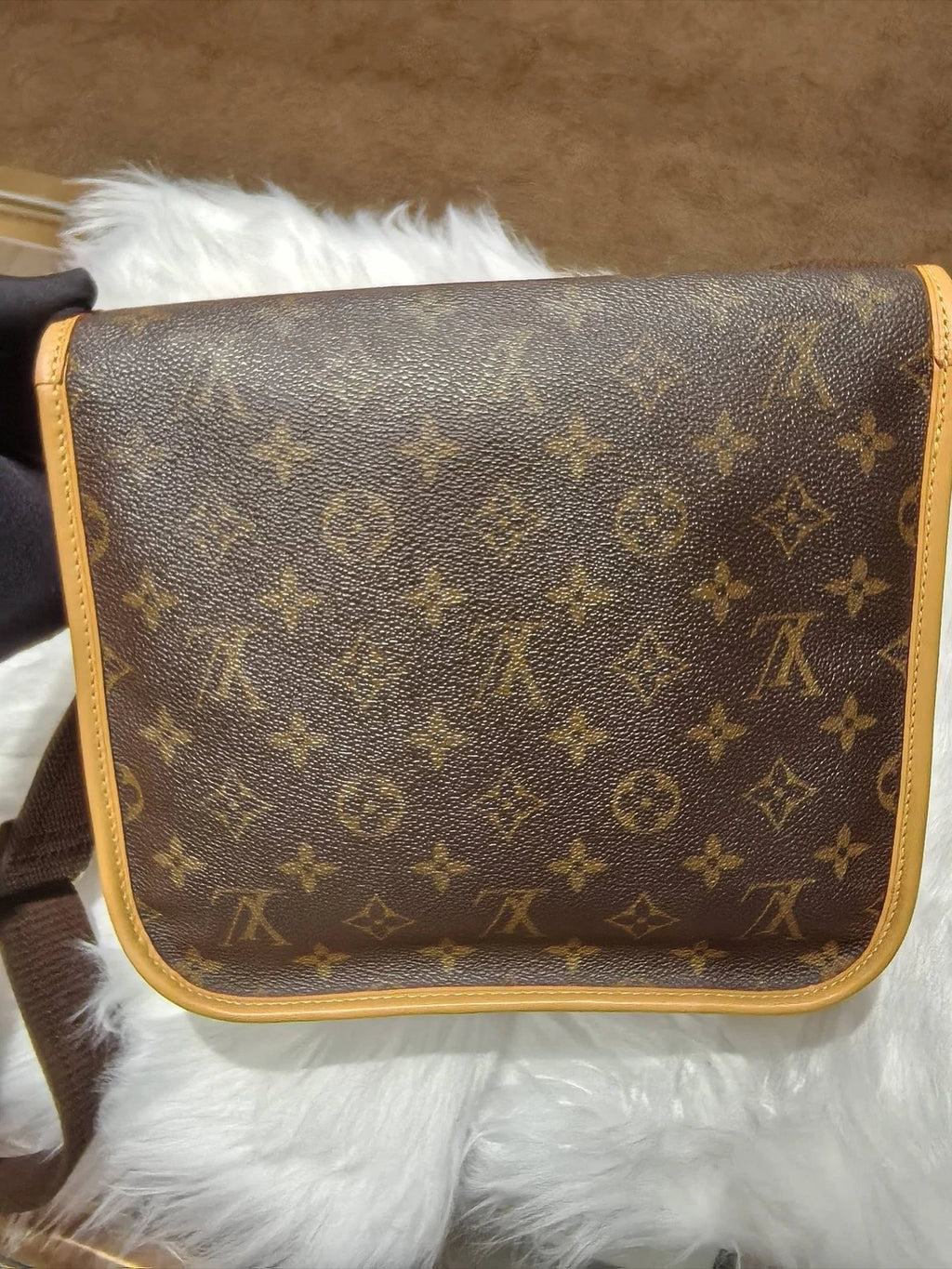 Authentic Louis Vuitton Pre-owned Canvas Shoulder Bag Women