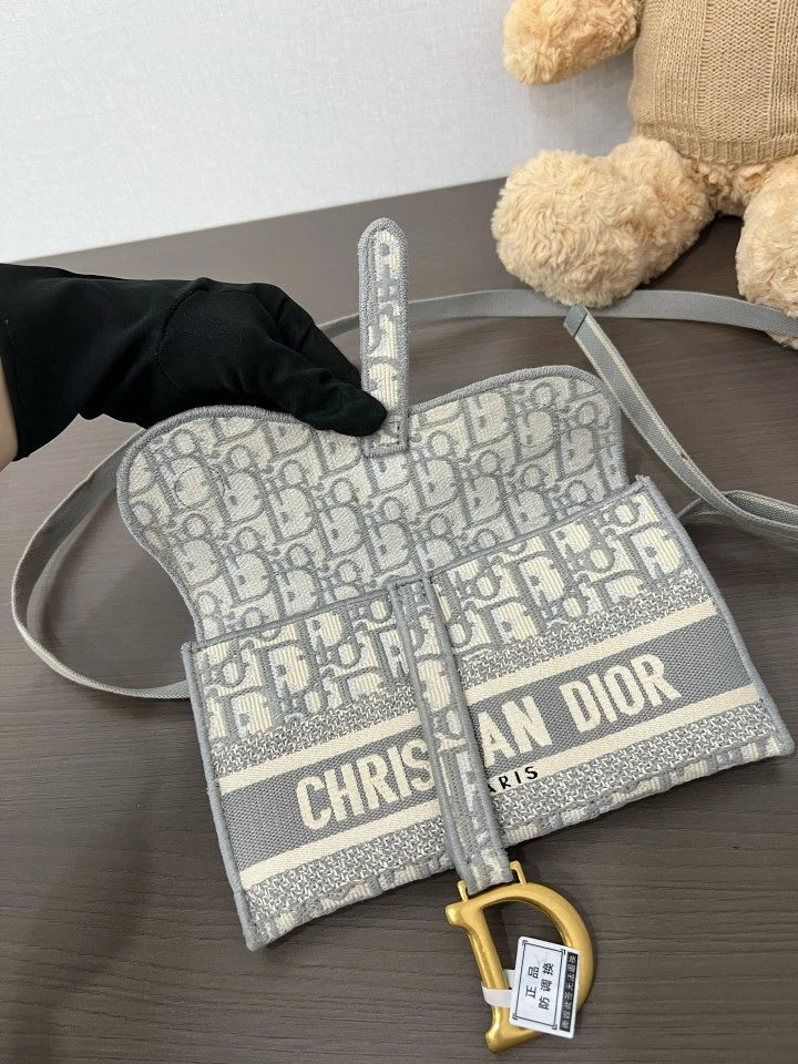 Dior Saddle Canvas Gray Crossbody Excellent