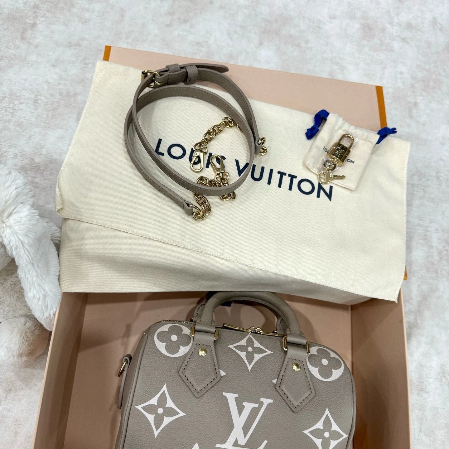 Louis Vuitton Speedy 20 Canvas Gray Handbag Top Handle Excellent