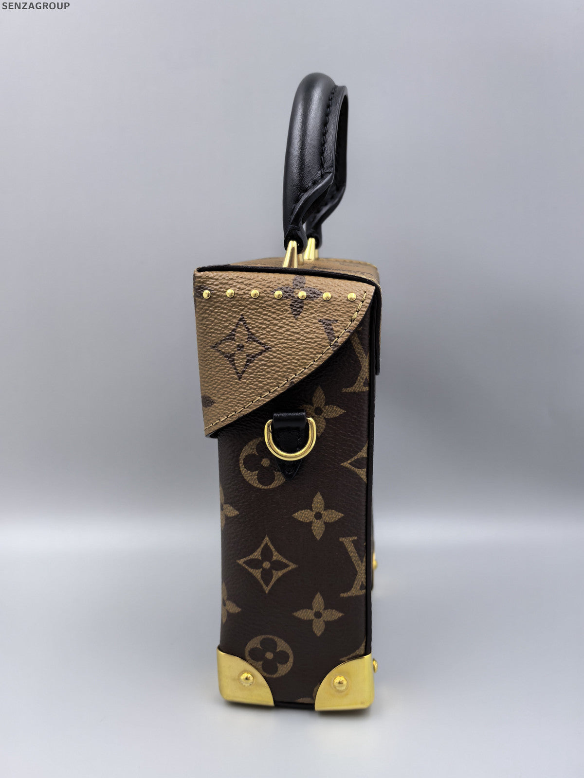 Louis Vuitton Monogram Camera Box Bag Brown Crossbody Shoulder Bag
