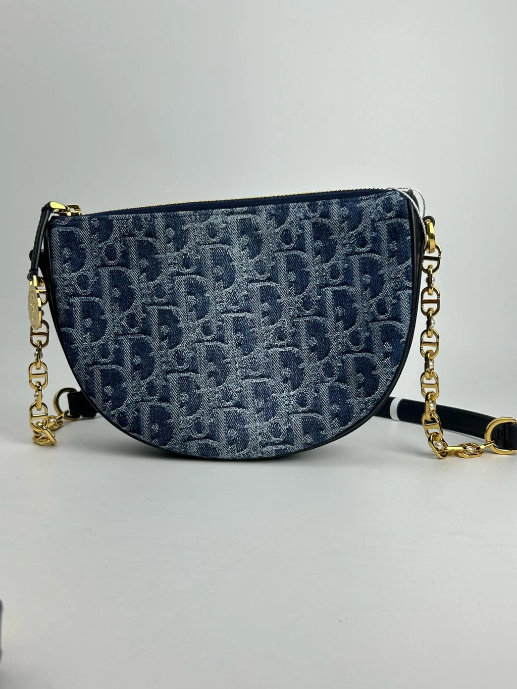 Dior Oblique Monogram Canvas Crescent Shoulder Bag For Women