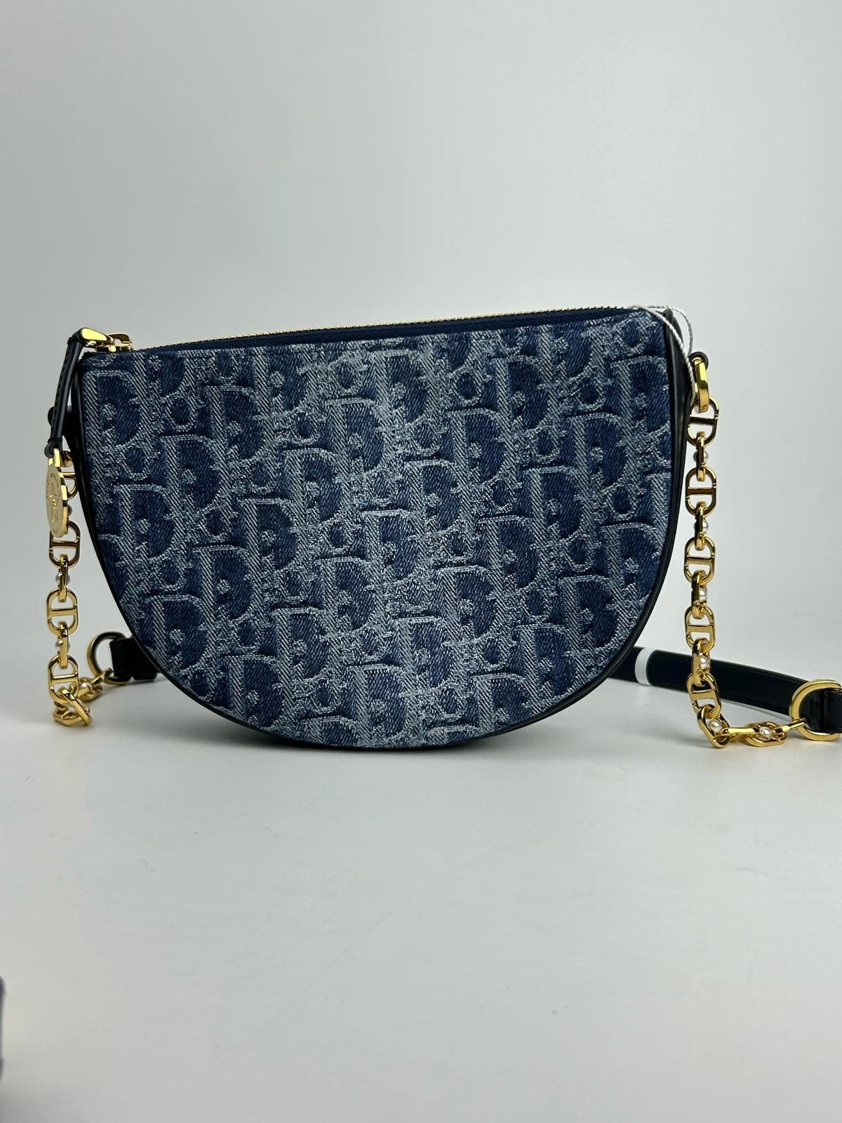 Dior Oblique Monogram Canvas Crescent Shoulder Bag For Women