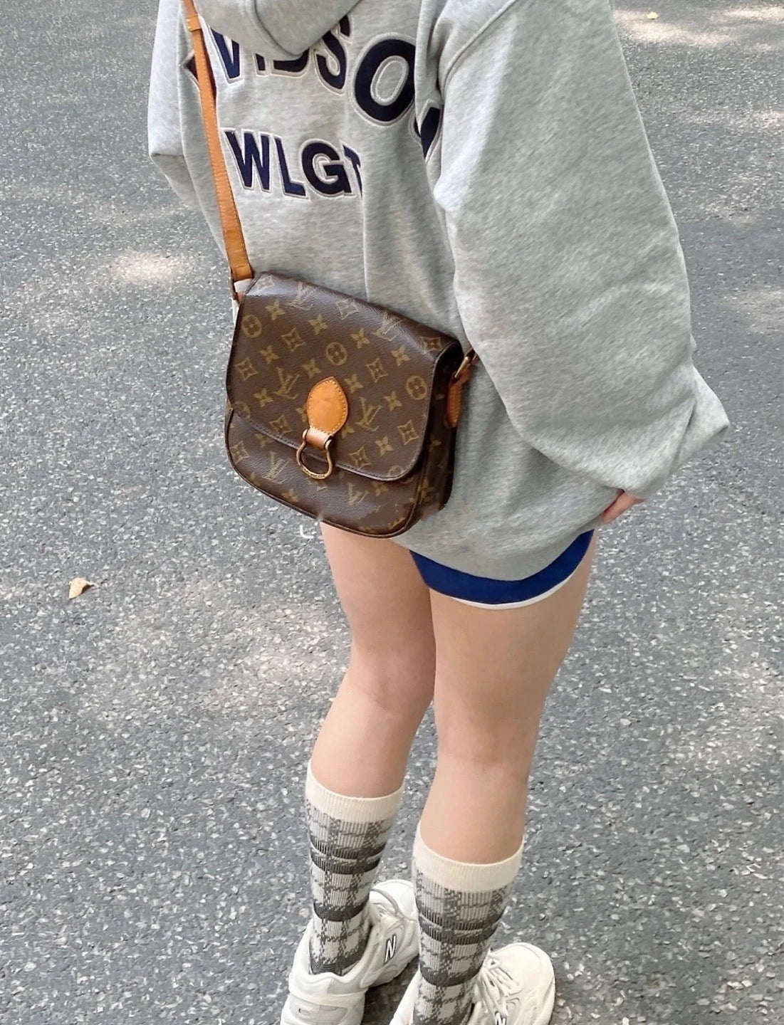Louis Vuitton Saddle Monogram Canvas Shoulder Bag Excellent