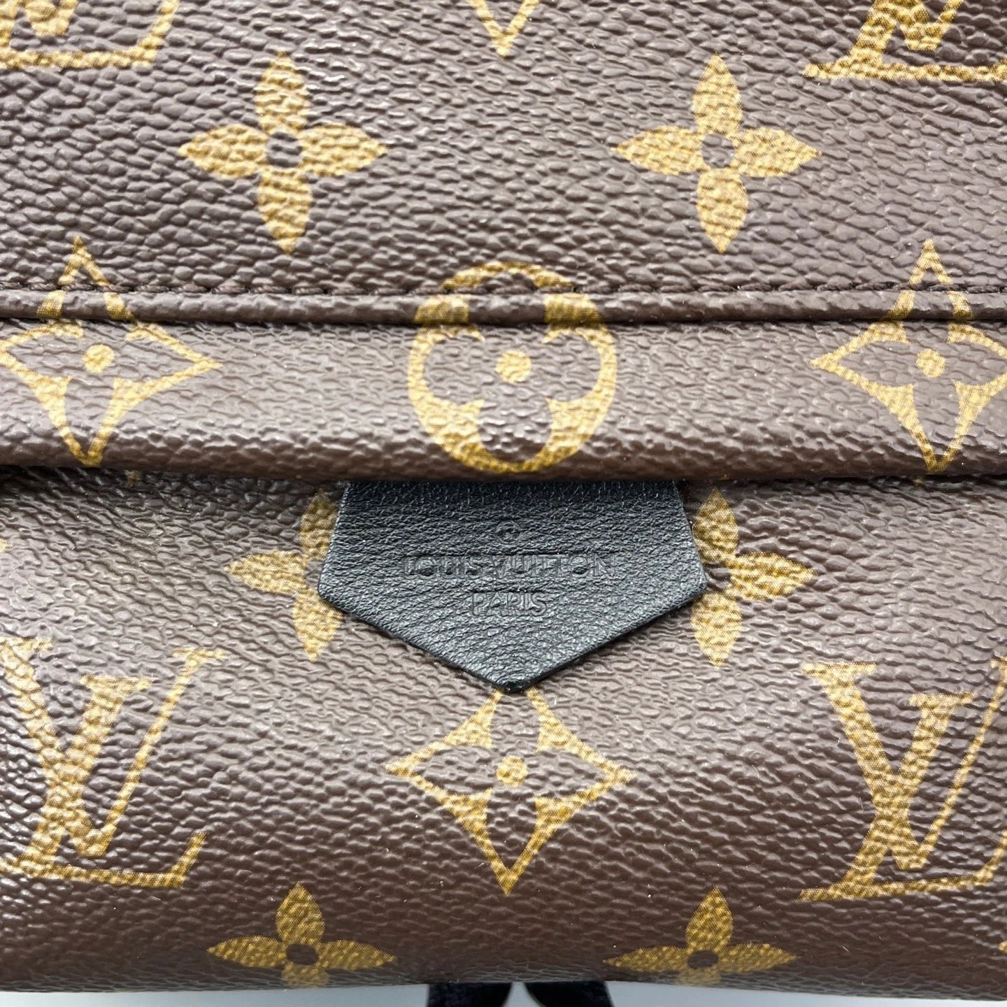 Louis Vuitton Palm Springs Monogram Brown Top Handle Backpack Excellent