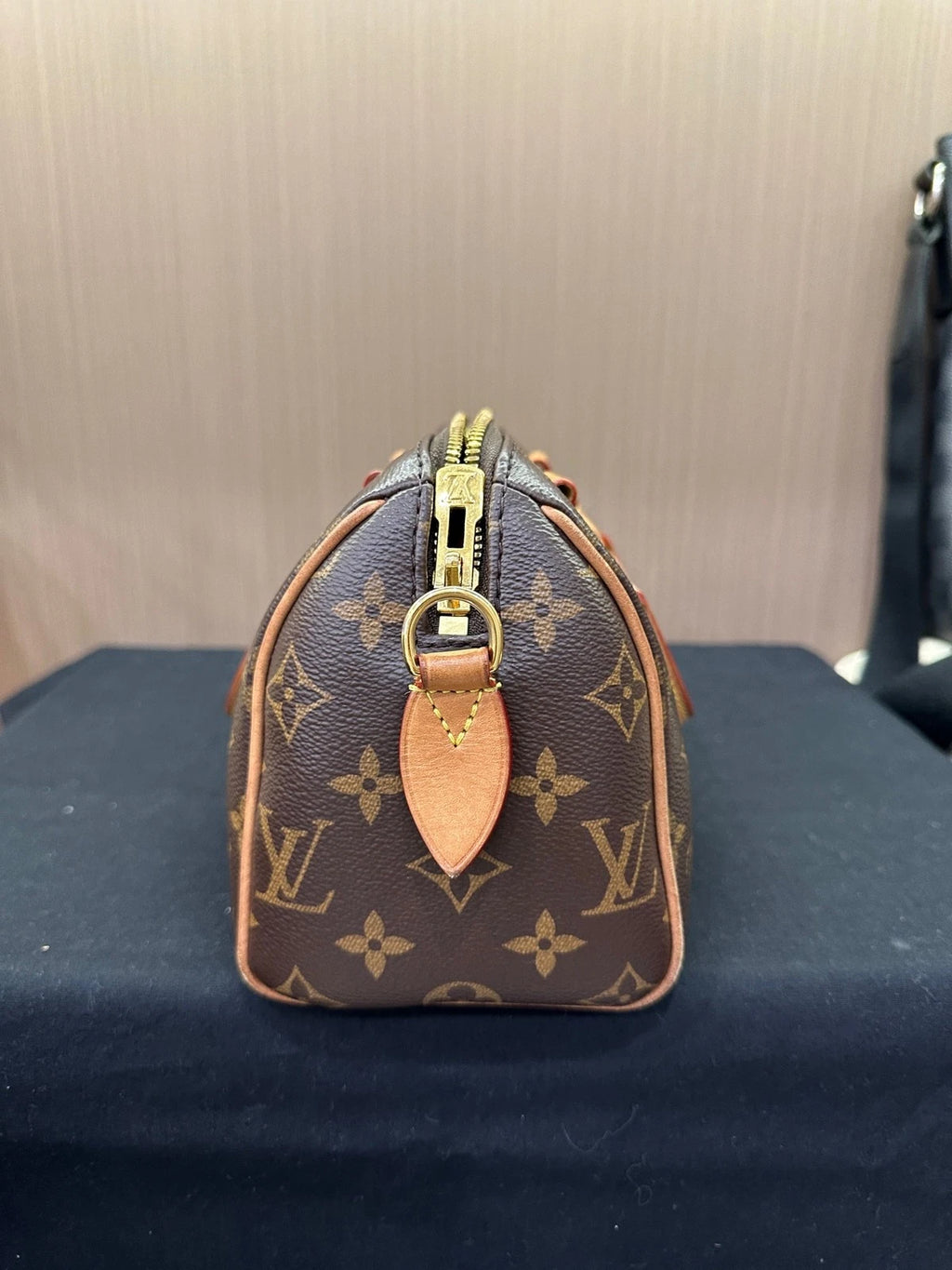 Louis Vuitton Speedy 20 Canvas Crossbody Bag For Women