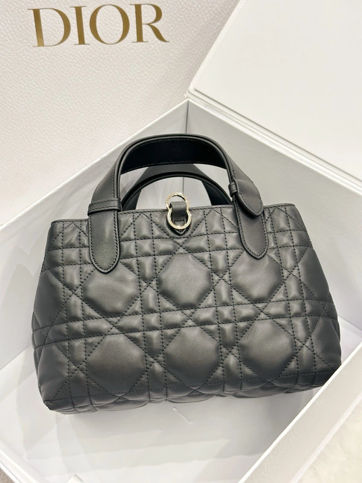 Dior Toujours Small Horizontal Black Tote Bag For Women