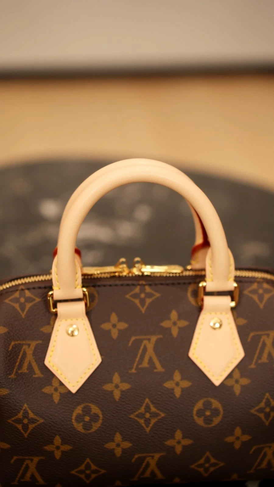 Louis Vuitton Speedy20 Monogram Canvas Excellent