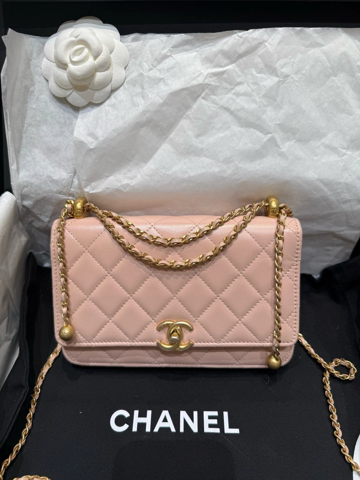 New CHANEL Sakura Pink Leather WOC Crossbody Bag For Women