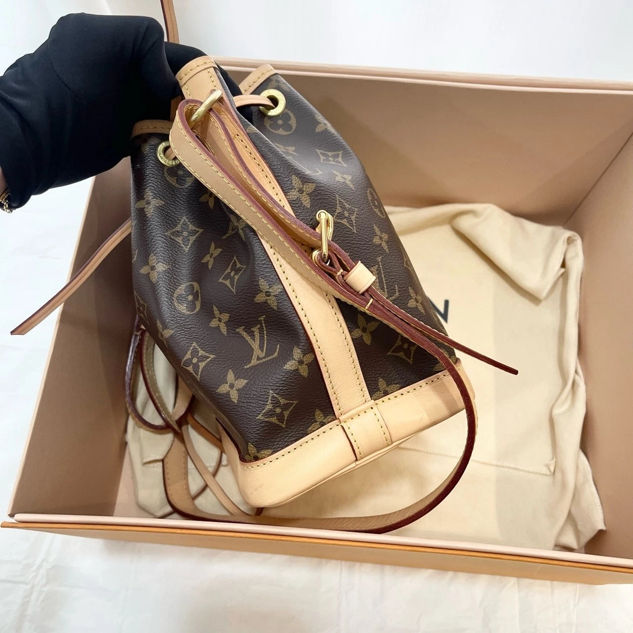 Louis Vuitton Canvas Noe BB Bucket Bag for Women