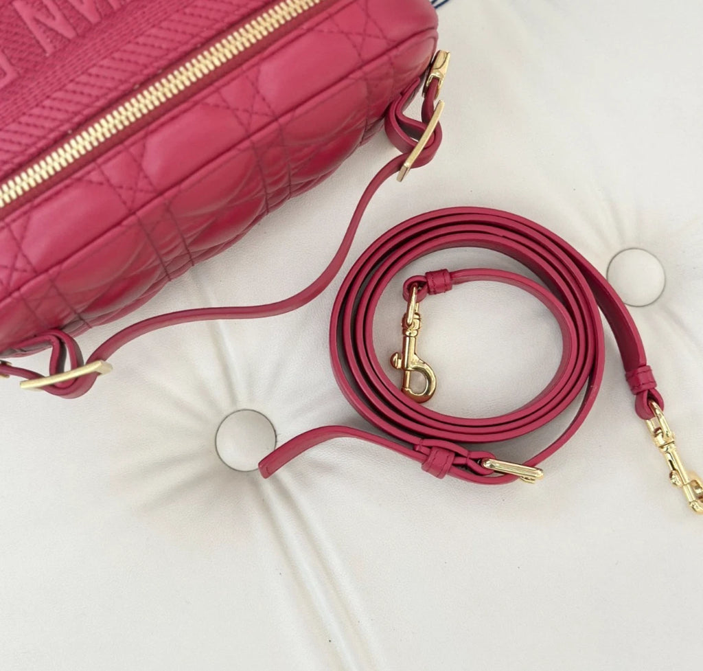 Dior Vanity Crossbody Top Handle Excellent