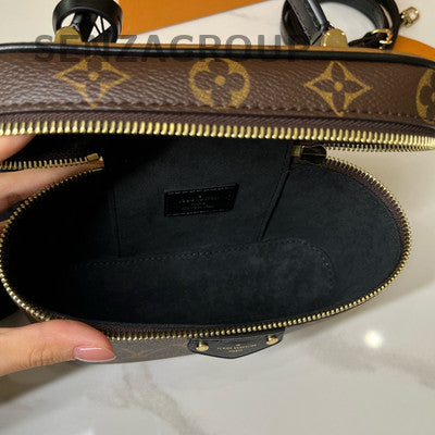Louis Vuitton Vanity Chain Pouch Brown Cosmetic Bag Women's Shoulder Bag