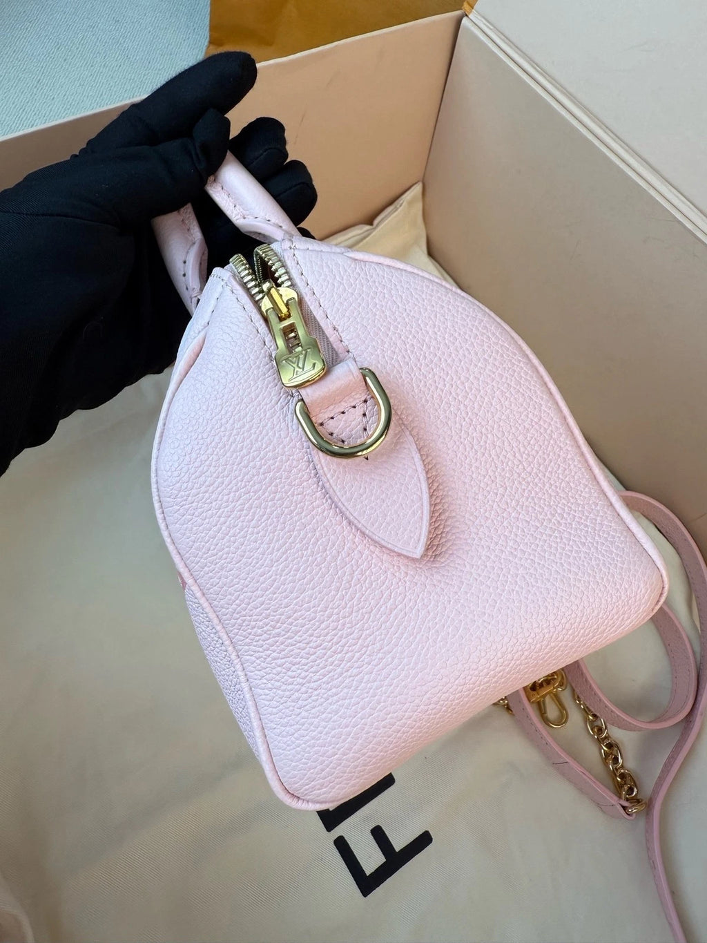 Louis Vuitton Speedy 20 Strawberry Ice Cream Handbag Women