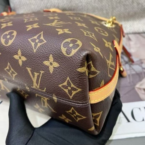 Louis Vuitton Carryall BB Monogram Canvas Chain Shoulder Bag Crossbody Women