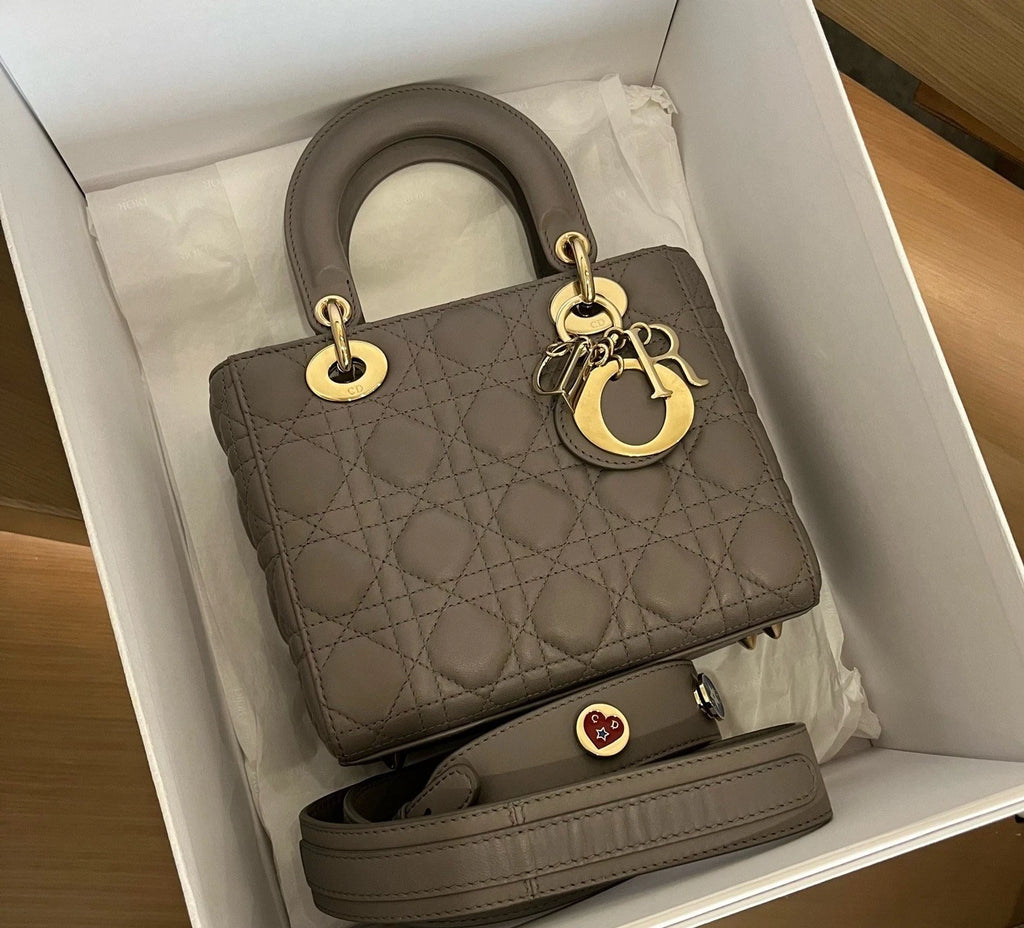 Christian Dior Lady Dior My ABC Dior PM Lambskin Gray Top Handle Bag Women