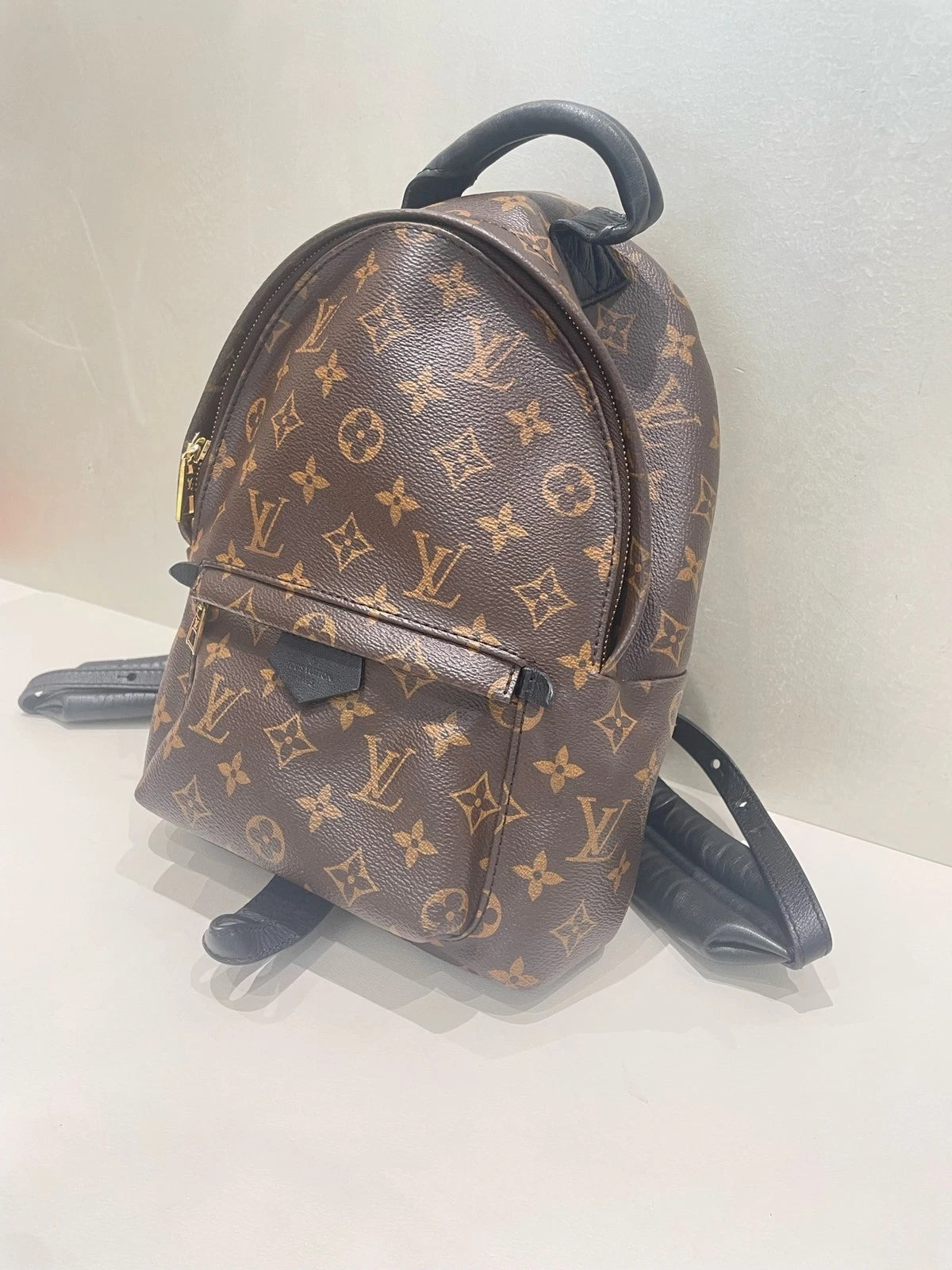 Louis Vuitton Palm Springs Monogram Canvas Small Backpack