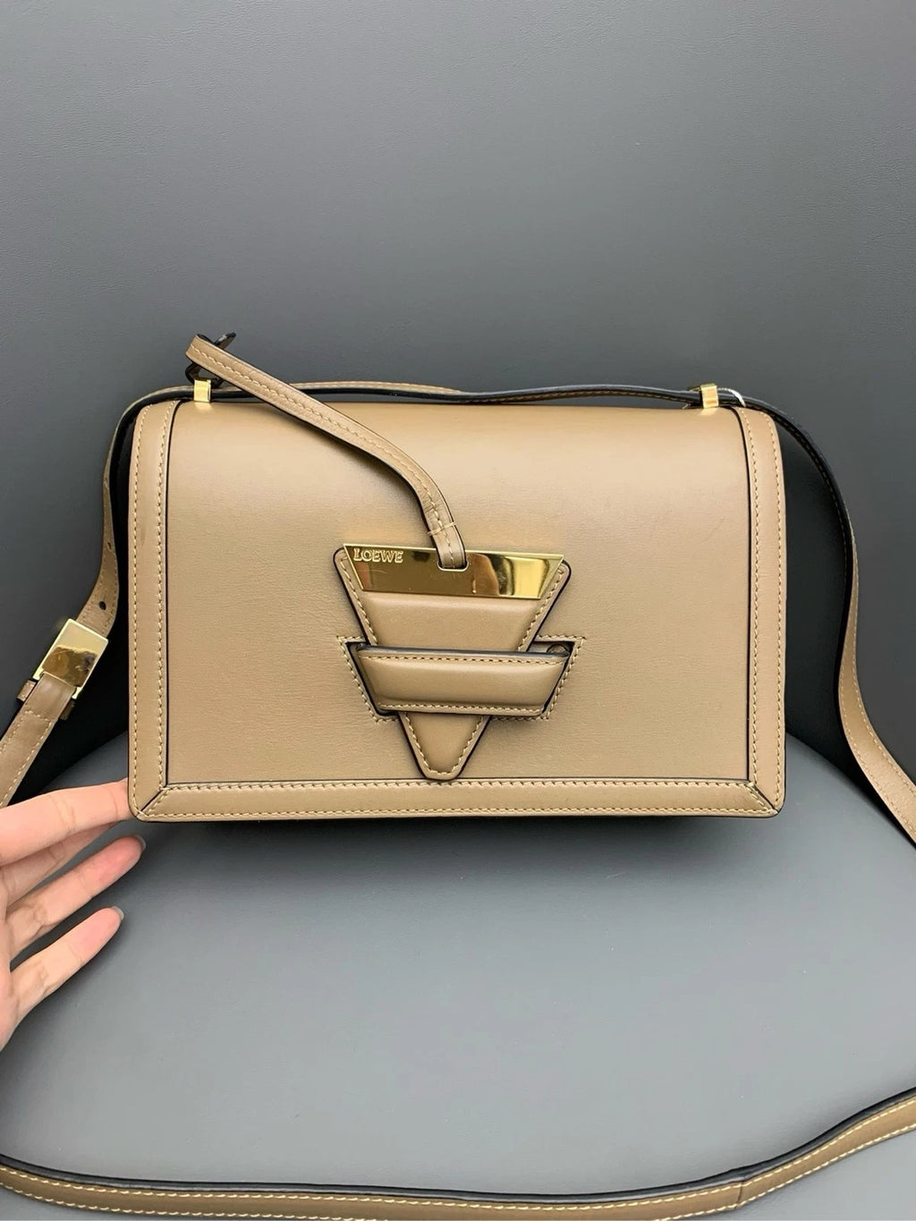 Loewe Women Barcelona Medium Leather Shoulder Bag With Dust Bag