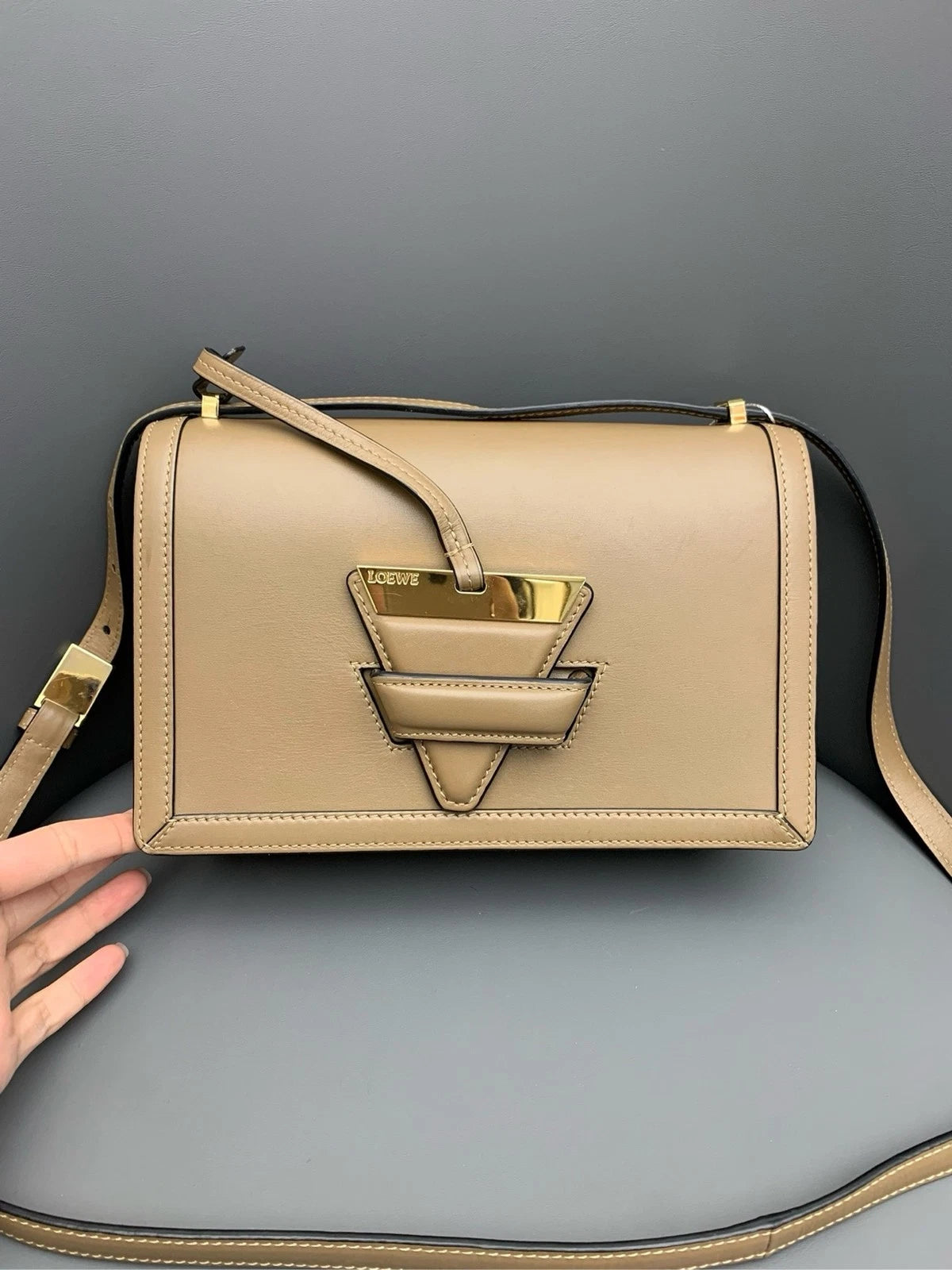 Loewe Women Barcelona Medium Leather Shoulder Bag With Dust Bag