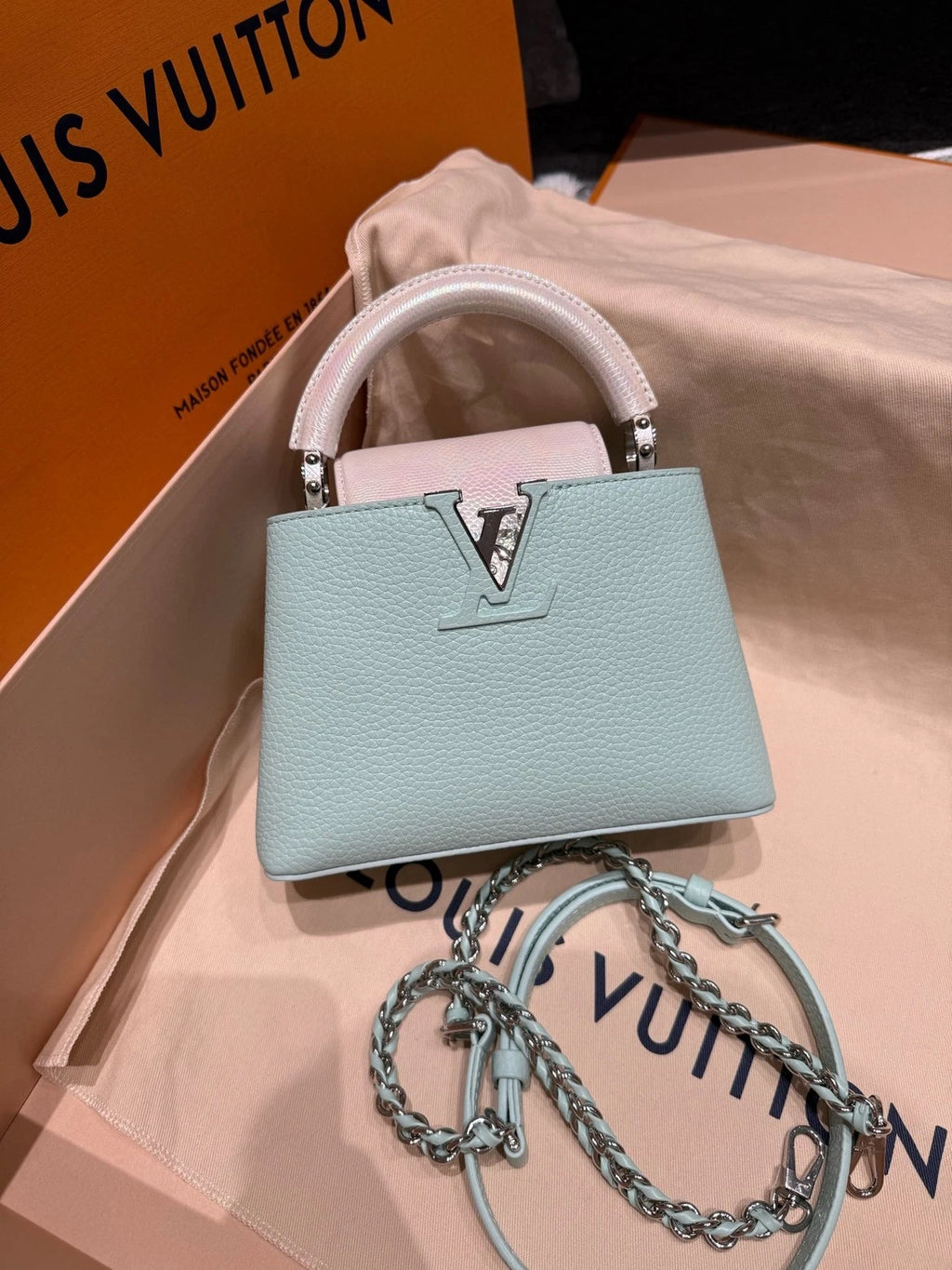 Louis Vuitton Capucines Mini Water Snake Leather Bag For Women
