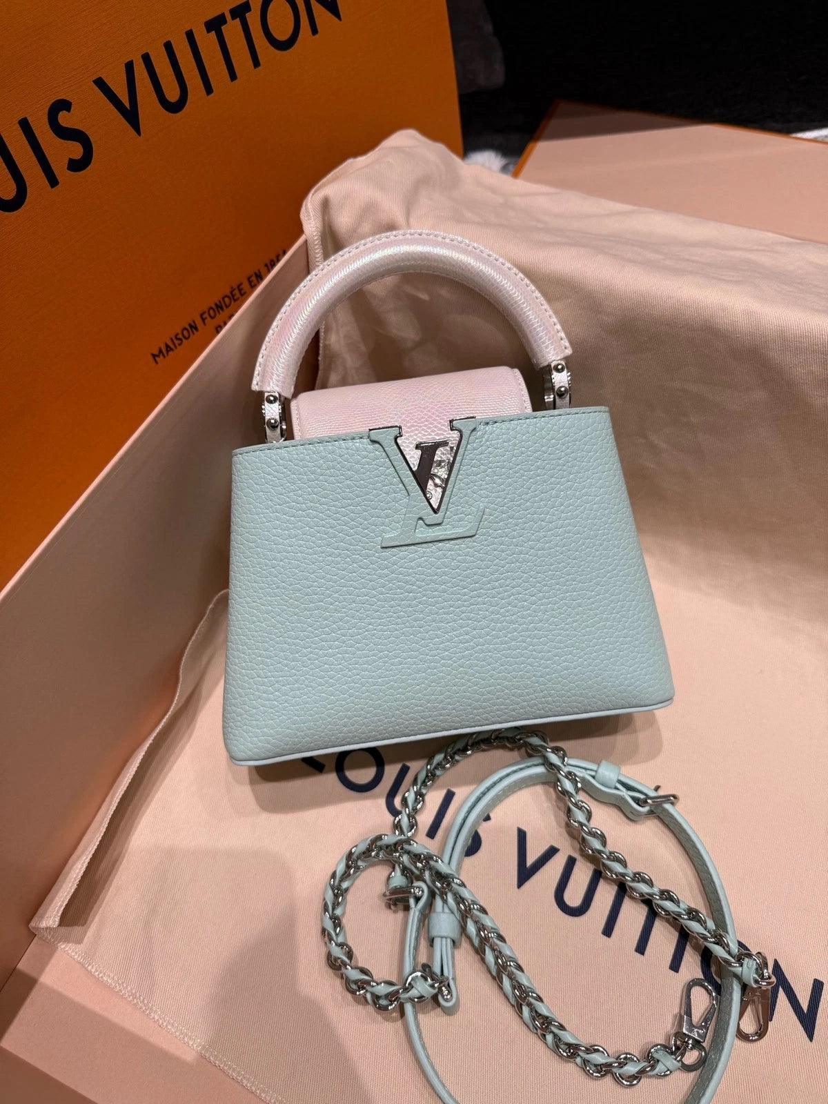 Louis Vuitton Capucines Mini Water Snake Leather Bag For Women