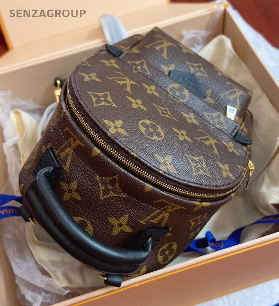 Louis Vuitton Palm Springs Backpack Shoulder bag Brown Brand NEW Women