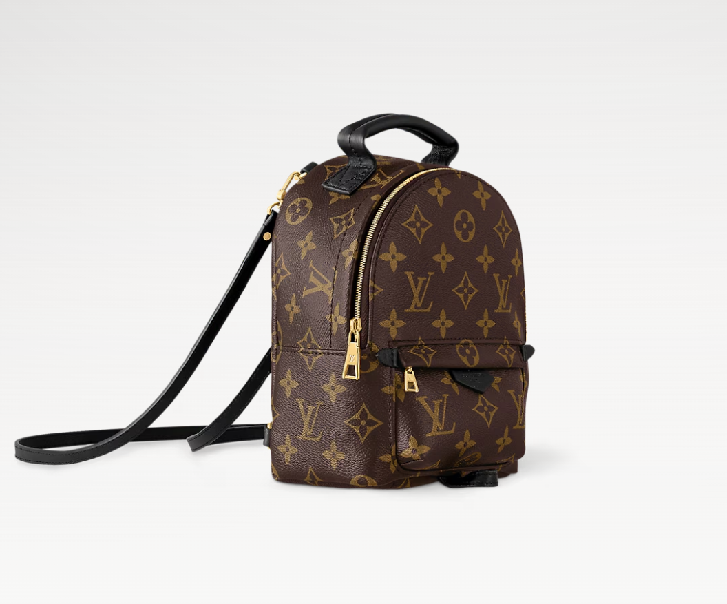 Louis Vuitton Palm Springs Backpack Mini Canvas M44873