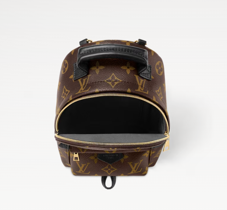 Louis Vuitton Palm Springs Backpack Mini Canvas M44873 - Pre-Owned
